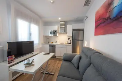 a living room with a couch and a table and a tv at Apartamentos Santa María 15 in Jerez de la Frontera