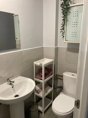 a bathroom with a sink and a toilet at Villa Mutt in Jerez de la Frontera