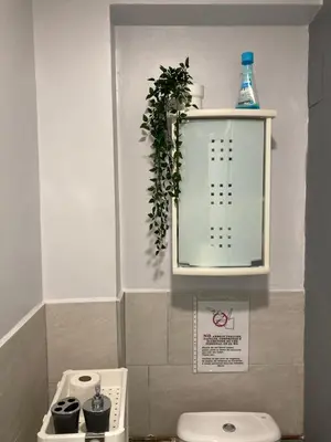 a bathroom with a toilet and a shelf with a plant at Villa Mutt in Jerez de la Frontera