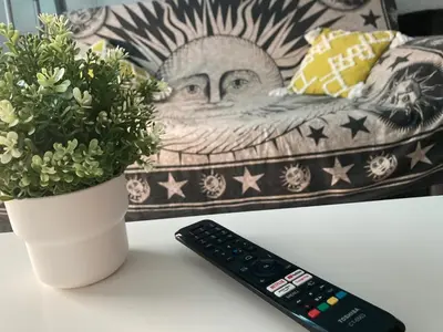 a remote control sitting next to a vase with a plant at Villa Mutt in Jerez de la Frontera