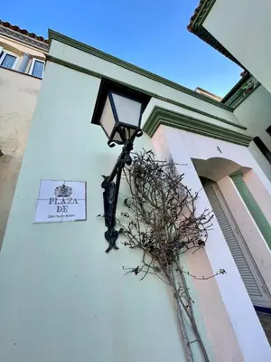 a light on the side of a building with a plant at GATU Villa Océano frente al mar en Puerto Sherry 