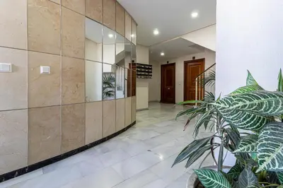 a lobby with plants and a glass wall at Top Ático Estudio Sur - Terraza in Jerez de la Frontera