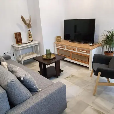 a living room with a couch and a flat screen tv at Jerez Palace House in Jerez de la Frontera