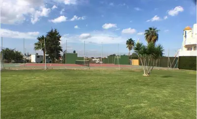 a tennis court with a palm tree in a field at Apartamento Empul La Barrosa in Chiclana de la Frontera