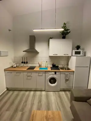 a kitchen with a sink and a washing machine at La Parra Apartamento in Jerez de la Frontera