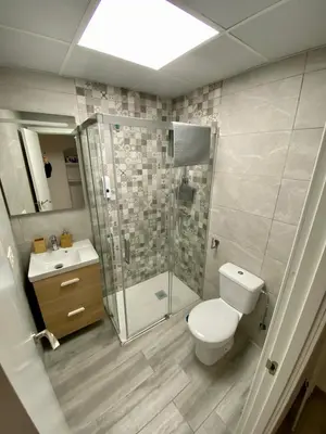 a bathroom with a shower and a toilet and a sink at La Parra Apartamento in Jerez de la Frontera