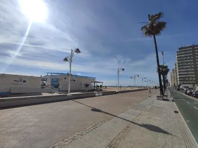 a street with a palm tree on the beach at Loft Paseo Marítimo in Cádiz