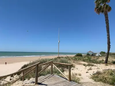 a wooden boardwalk leading to a beach with a palm tree at Apartamento residencial de golf y playa Cadiz in Rota