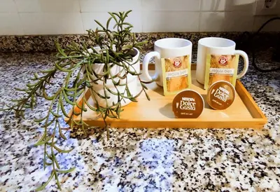 a tray with two coffee mugs and a plant on a counter at Apartamento Las Canastas Cádiz Centro a pie de Catedral y playa in Cádiz