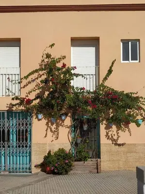 a tree with flowers in front of a building at Apartamento Las Canastas Cádiz Centro a pie de Catedral y playa in Cádiz