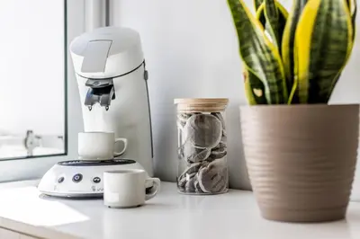 a coffee maker and cups on a counter with a plant at Apartamento en CENTRO CIUDAD in El Puerto de Santa María