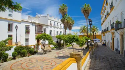 a street in a town with palm trees and buildings at Apartamento en CENTRO CIUDAD in El Puerto de Santa María