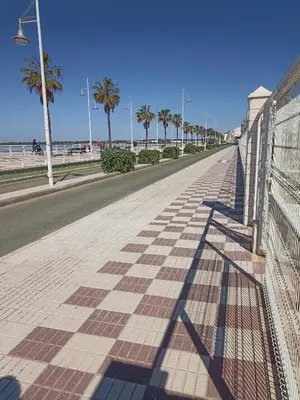 a sidewalk next to the beach with a fence and palm trees at Apartamento Bajo en Valdelagrana, Primera Línea de Playa in El Puerto de Santa María