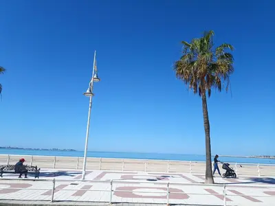a palm tree and people sitting on benches near the beach at Apartamento Bajo en Valdelagrana, Primera Línea de Playa in El Puerto de Santa María