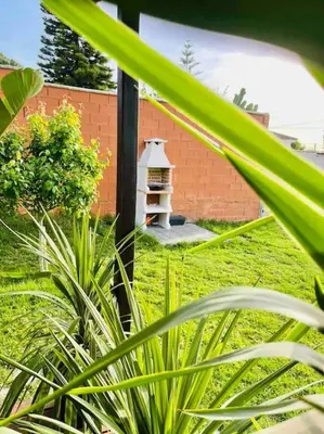 a bird house sitting on top of a lush green yard at Alquiler de casa Vacacional in Chiclana de la Frontera
