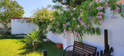 a bench sitting under a tree with pink flowers at Casa con piscina privada y jardín in Chiclana de la Frontera