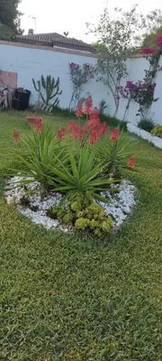 a garden with plants and flowers in the grass at Casa con piscina privada y jardín in Chiclana de la Frontera